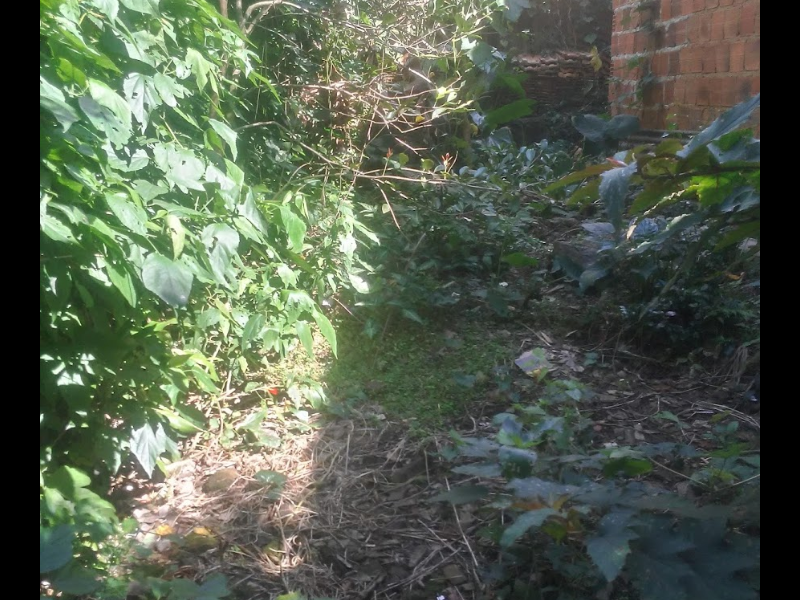 Terreno à venda Vila do Abraão com 144m² e  quartos por R$ 250.000 - 838159378-screenshot-2019-11-07-22-36-40.png