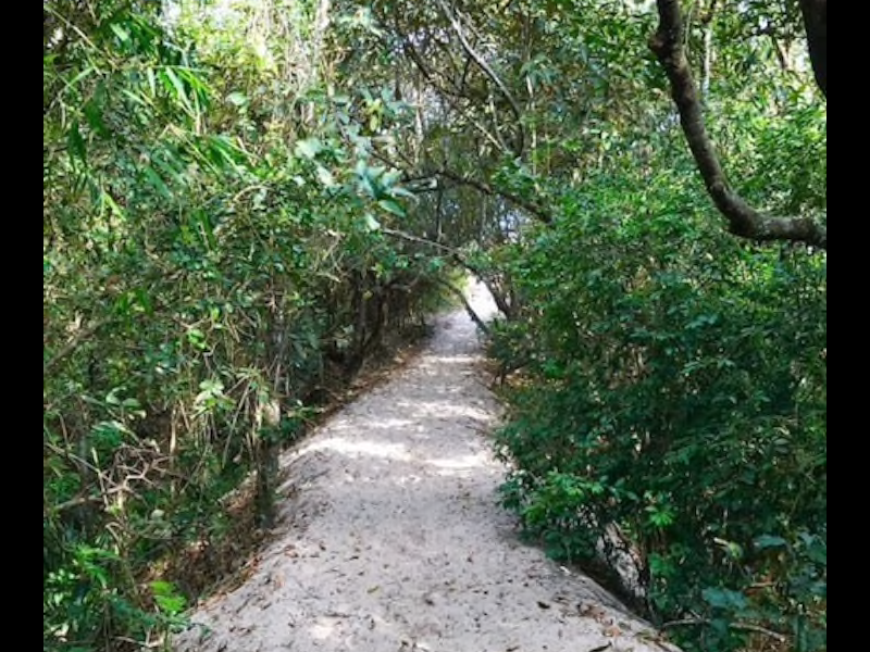 Apartamento à venda Lagoa Pequena com 285m² e 4 quartos por R$ 1.695.000 - 1013653031-trilha.png