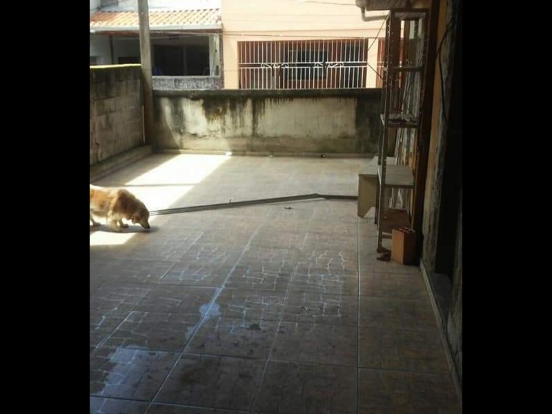 Casa à venda Conjunto Habitacional Brigadeiro Faria Lima com 70m² e 2 quartos por R$ 2.590.000 - 325569622-fb-img-1572996596184.jpg