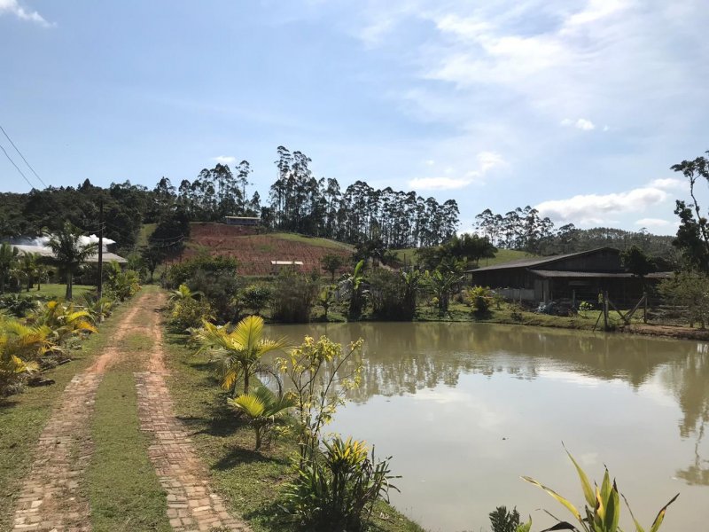 Chácara à venda Centro com 4500m² e 1 quarto por R$ 250.000 - 364951871-7cada963-47db-47dd-a0af-6155c1b73668.jpeg