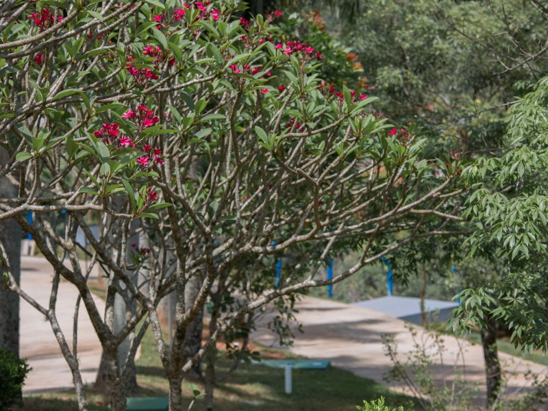 Terreno à venda CENTRO com 520m² e  quartos por R$ 180.000 - 1009453226-4h3a5649.jpg