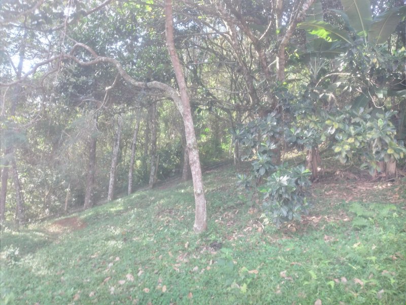 Chácara à venda Freitas com 11000m² e 3 quartos por R$ 1.300.000 - 1112337803-20210423-153912.jpg