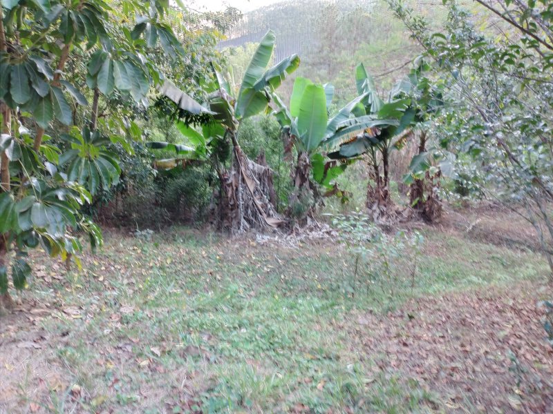 Chácara à venda Freitas com 11000m² e 3 quartos por R$ 1.300.000 - 1124500348-20200810-145126.jpg