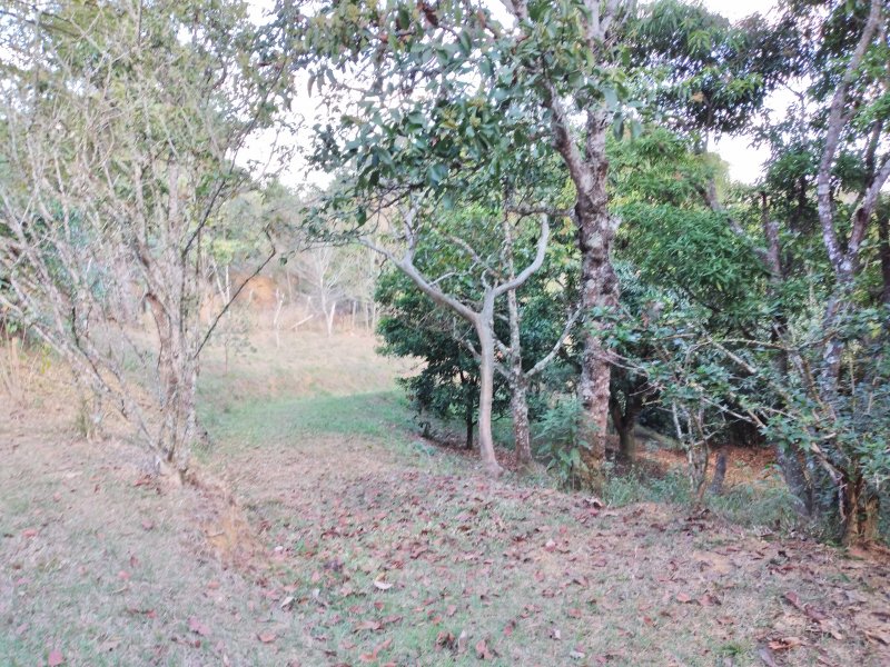 Chácara à venda Freitas com 11000m² e 3 quartos por R$ 1.300.000 - 1221848962-20200810-144920.jpg