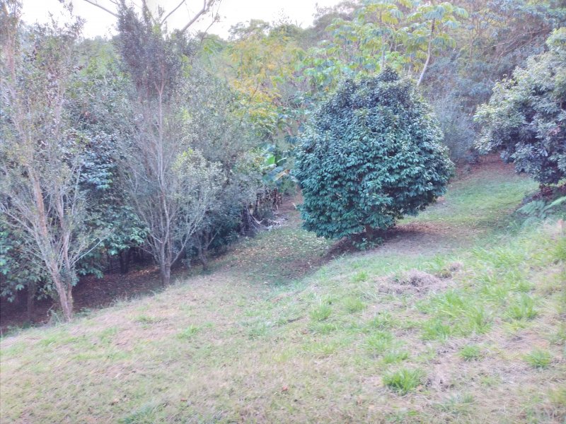 Chácara à venda Freitas com 11000m² e 3 quartos por R$ 1.300.000 - 1259185800-20200810-145035.jpg