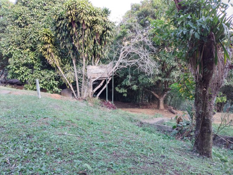 Chácara à venda Freitas com 11000m² e 3 quartos por R$ 1.300.000 - 1834147550-20200810-144824.jpg