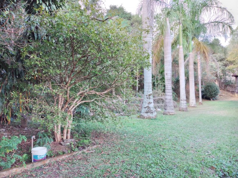 Chácara à venda Freitas com 11000m² e 3 quartos por R$ 1.300.000 - 1884463805-20200810-144832.jpg