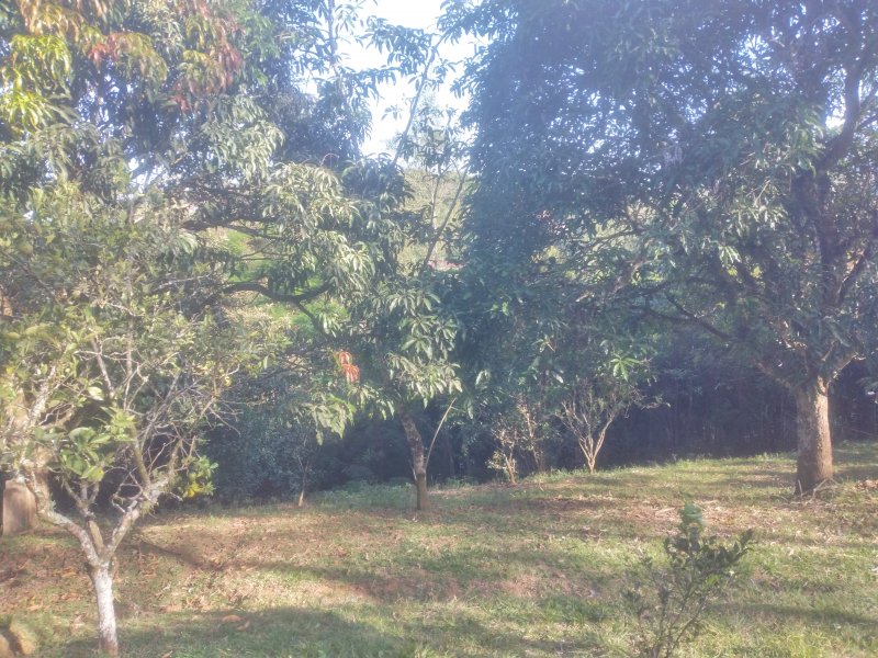 Chácara à venda Freitas com 11000m² e 3 quartos por R$ 1.300.000 - 1884916888-20210423-153401.jpg