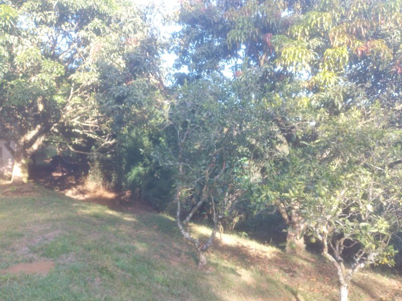 Chácara à venda Freitas com 11000m² e 3 quartos por R$ 1.300.000 - 1973068047-20210423-153359.jpg