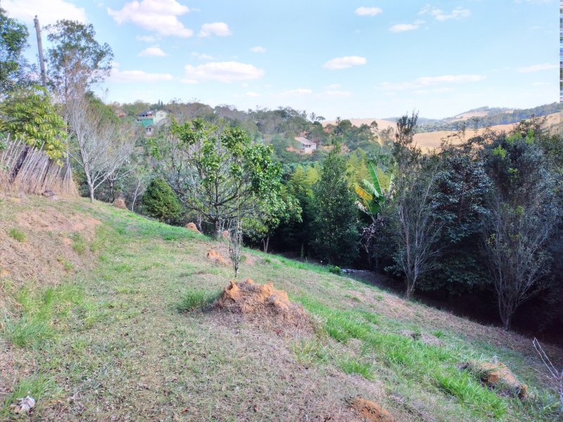 Chácara à venda Freitas com 11000m² e 3 quartos por R$ 1.300.000 - 2059639442-20200810-145017.jpg