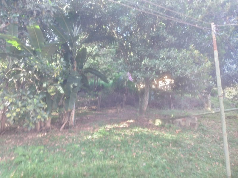 Chácara à venda Freitas com 11000m² e 3 quartos por R$ 1.300.000 - 253302165-20210423-153909.jpg