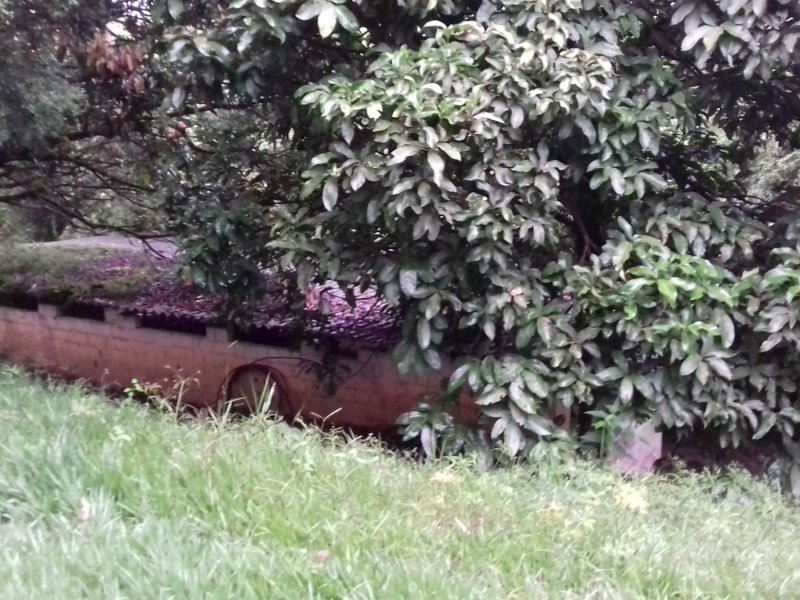 Chácara à venda Freitas com 11000m² e 3 quartos por R$ 1.300.000 - 254174163-20200123-172807.jpg