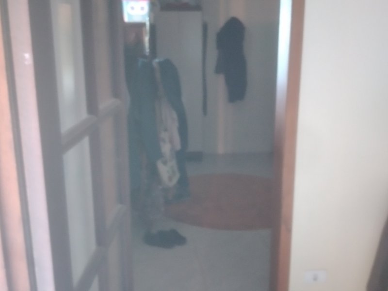 Chácara à venda Freitas com 11000m² e 3 quartos por R$ 1.300.000 - 295063456-20210423-163505-mfnr.jpg