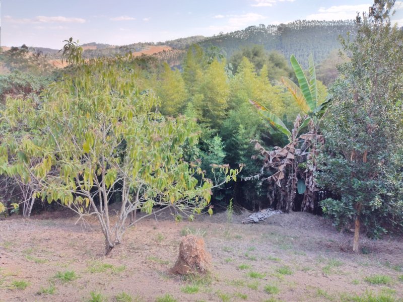 Chácara à venda Freitas com 11000m² e 3 quartos por R$ 1.300.000 - 399513409-20200810-145052.jpg