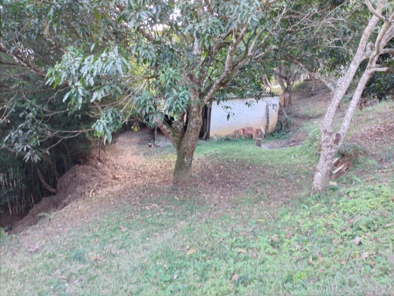 Chácara à venda Freitas com 11000m² e 3 quartos por R$ 1.300.000 - 510061111-20200810-145001.jpg