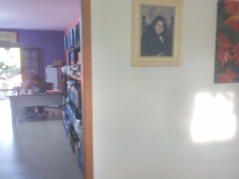 Chácara à venda Freitas com 11000m² e 3 quartos por R$ 1.300.000 - 532808870-20210423-163601.jpg