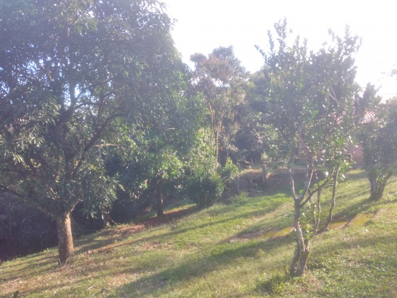 Chácara à venda Freitas com 11000m² e 3 quartos por R$ 1.300.000 - 541853520-20210423-153404.jpg