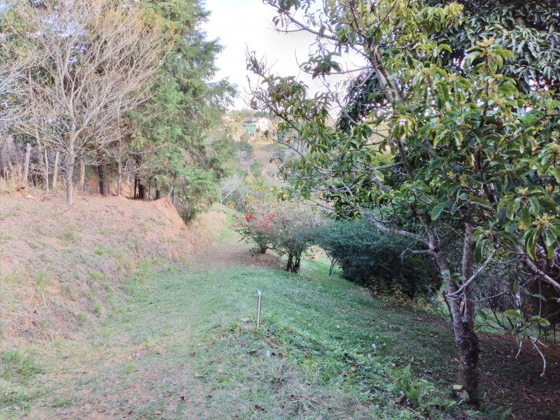 Chácara à venda Freitas com 11000m² e 3 quartos por R$ 1.300.000 - 643424988-20200810-144947.jpg