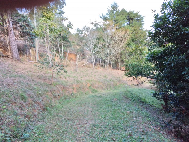 Chácara à venda Freitas com 11000m² e 3 quartos por R$ 1.300.000 - 666008429-20200810-144939.jpg