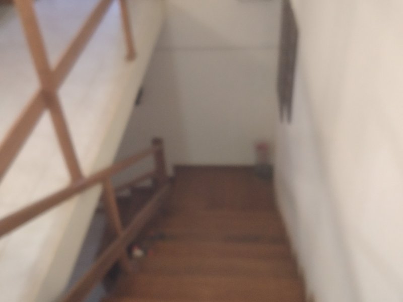 Chácara à venda Freitas com 11000m² e 3 quartos por R$ 1.300.000 - 695251674-20210423-163604-mfnr.jpg