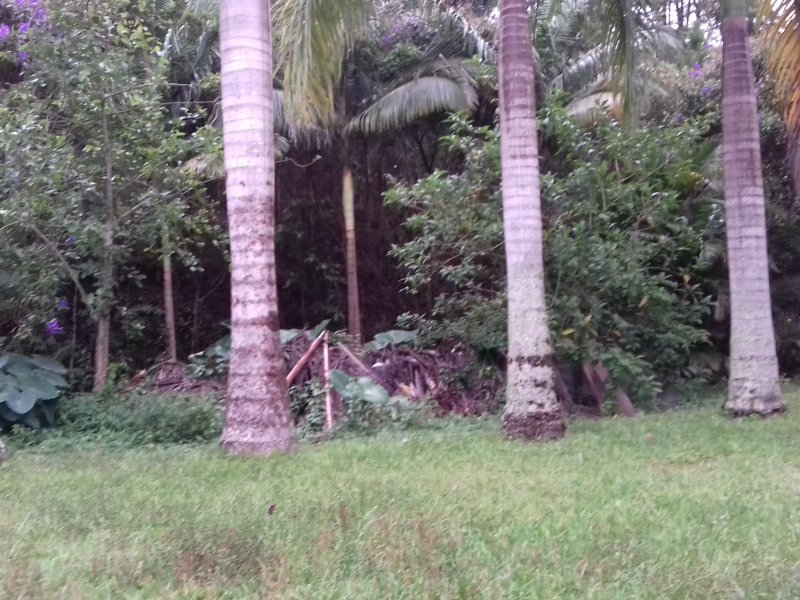 Chácara à venda Freitas com 11000m² e 3 quartos por R$ 1.300.000 - 790242906-20200123-172734.jpg