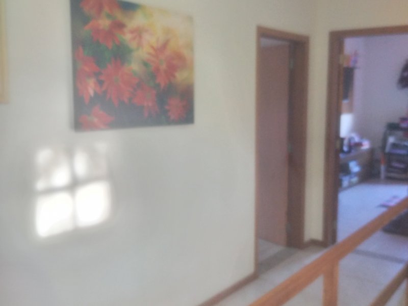 Chácara à venda Freitas com 11000m² e 3 quartos por R$ 1.300.000 - 857556734-20210423-163558.jpg