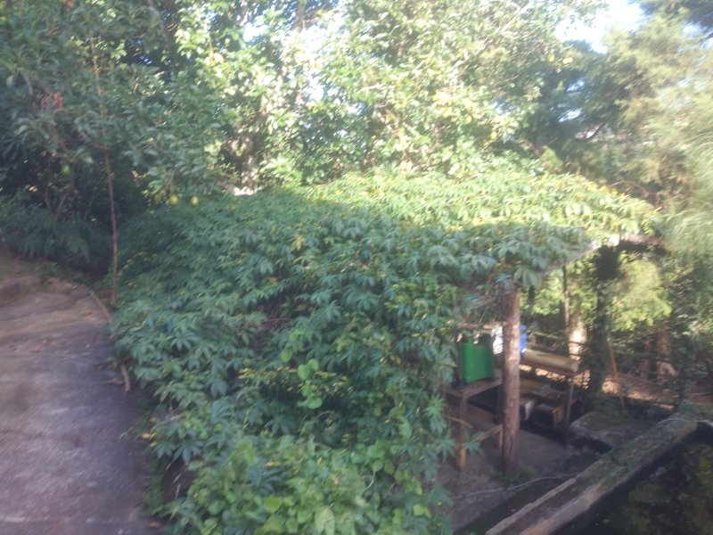 Chácara à venda Freitas com 11000m² e 3 quartos por R$ 1.300.000 - 91976826-20210423-154059.jpg