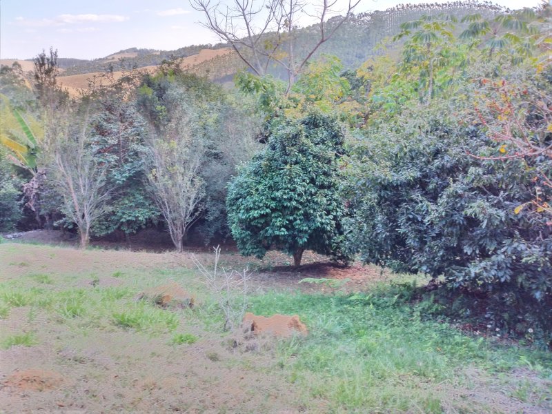 Chácara à venda Freitas com 11000m² e 3 quartos por R$ 1.300.000 - 95265371-20200810-145020.jpg