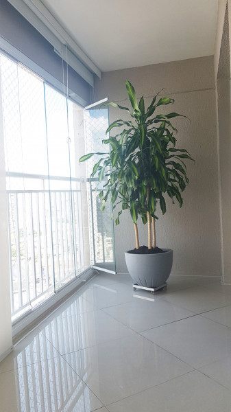 imóvel com 76m² - Vl. Rosália - Guarulhos