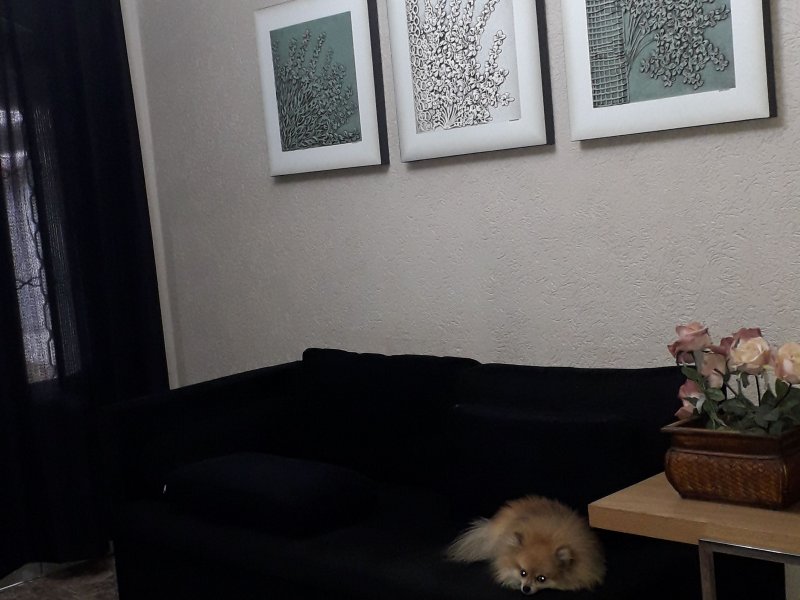 Casa à venda São Francisco com 360m² e 3 quartos por R$ 450.000 - 1327430907-img-20200123-wa0040.jpeg