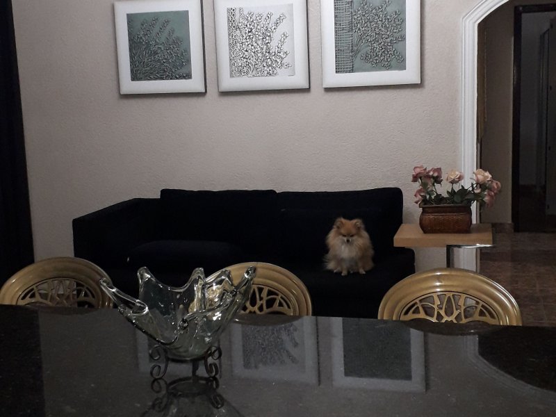 Casa à venda São Francisco com 360m² e 3 quartos por R$ 450.000 - 407838570-img-20200123-wa0038.jpeg