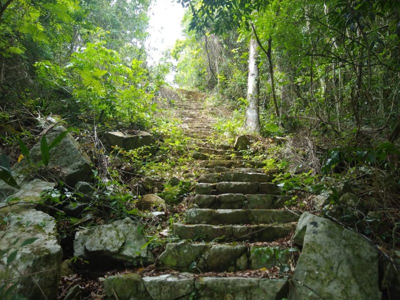 Casa à venda Lagoa da Conceição com 100m² e 1 quarto por R$ 630.000 - 627992114-img-20191219-wa0044.jpg