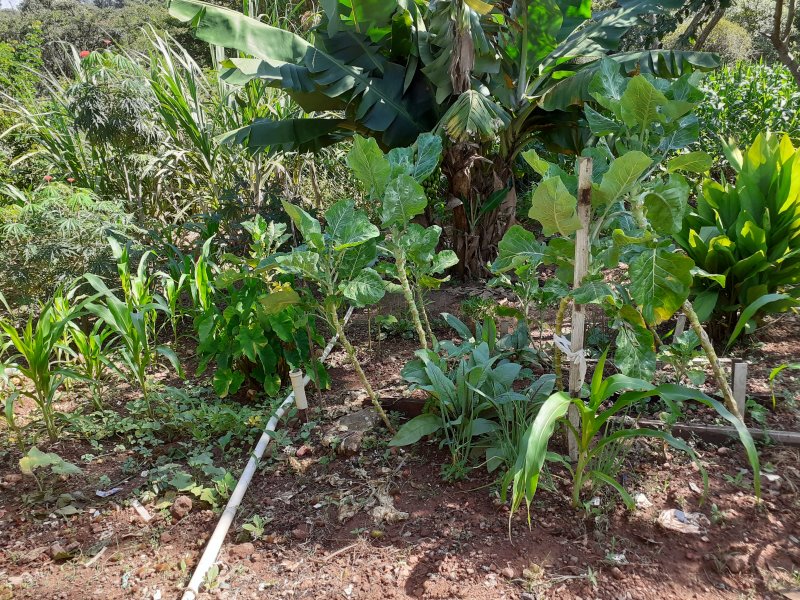 Casa à venda Samambaia com 360m² e 2 quartos por R$ 70.000 - 1594889617-20200113-090935.jpg