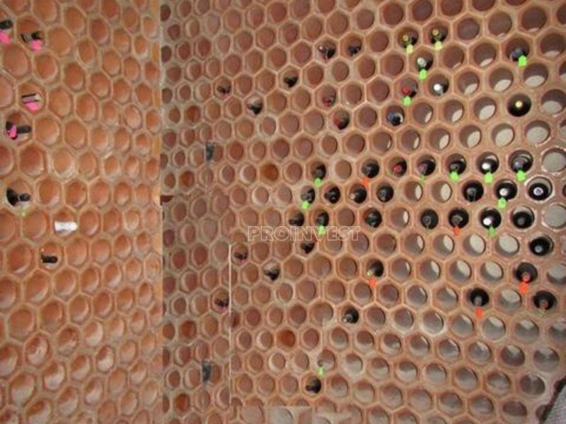 Casa de condomínio à venda Altos de São Fernando com 1450m² e 4 quartos por R$ 1.850.000 - 455703477-68bda34b-59fb-47c8-9e4c-536929863938.jpeg