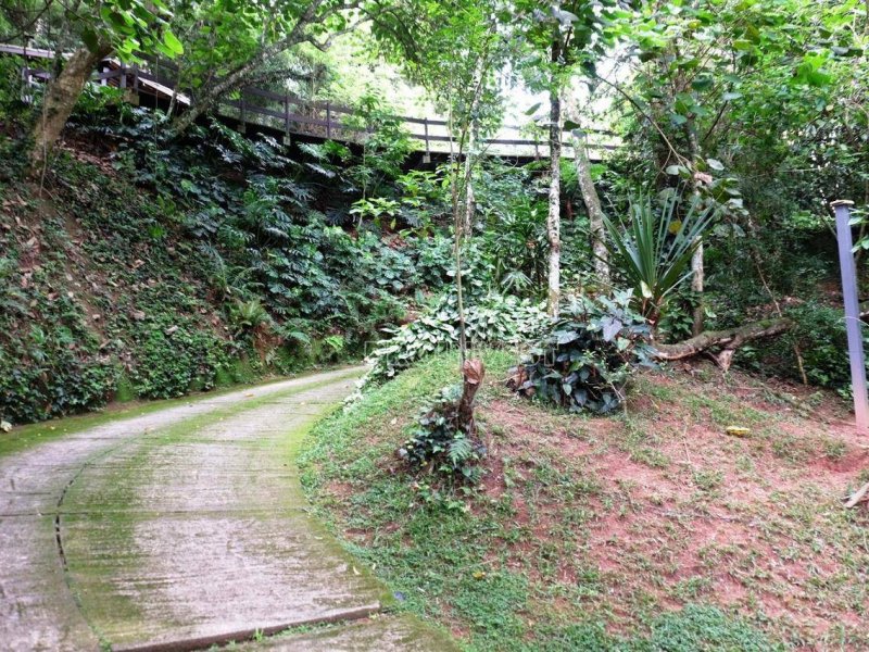 Casa de condomínio à venda Altos de São Fernando com 1450m² e 4 quartos por R$ 1.850.000 - 563995152-9a4556e0-f4b1-4191-8ca7-5f8b3e7862b3.jpeg