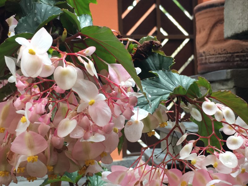 Casa à venda Jardim Nossa Senhora do Carmo com 430m² e 6 quartos por R$ 1.500.000 - 242180568-35740ca5-f750-4e50-8478-73c6240b96e5.jpeg