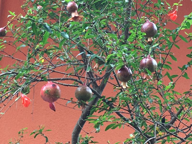 Casa à venda Jardim Nossa Senhora do Carmo com 430m² e 6 quartos por R$ 1.500.000 - 702463240-9a4caada-4d7e-4db4-a0d1-2811b3a4b810.jpeg