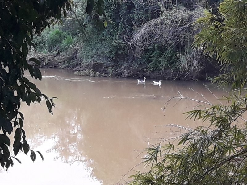 imóvel com 150m² - Recreio Tsuriba - Campinas