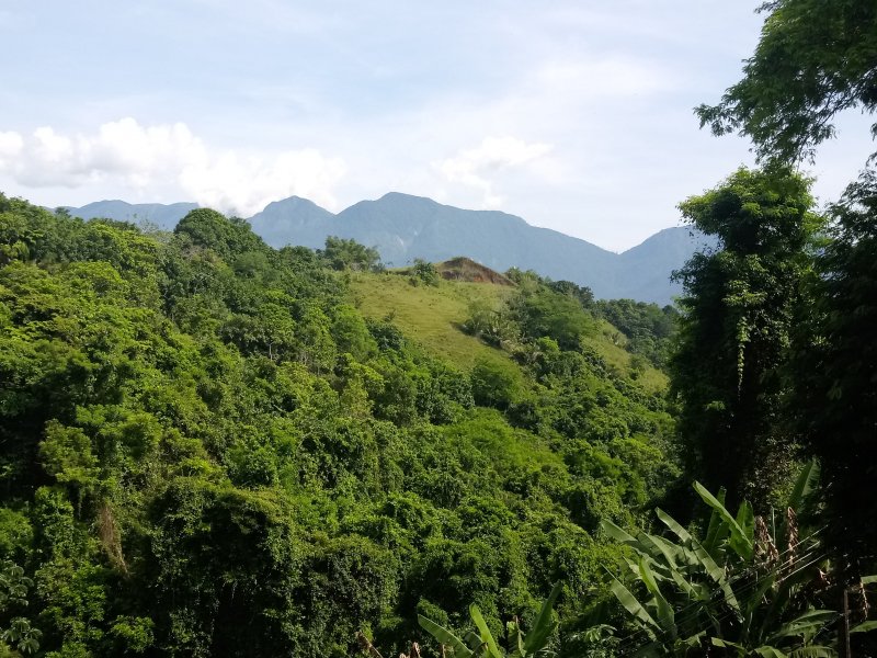 Casa de condomínio à venda Centro com 220m² e 4 quartos por R$ 1.150.000 - 1802924724-img-20200110-wa0037.jpeg