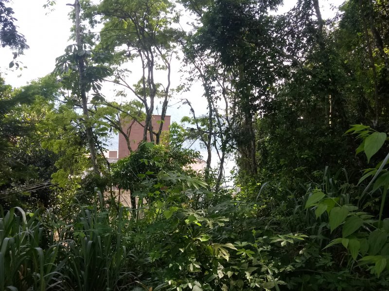 Casa de condomínio à venda Centro com 220m² e 4 quartos por R$ 1.150.000 - 374296815-img-20200110-wa0030.jpeg