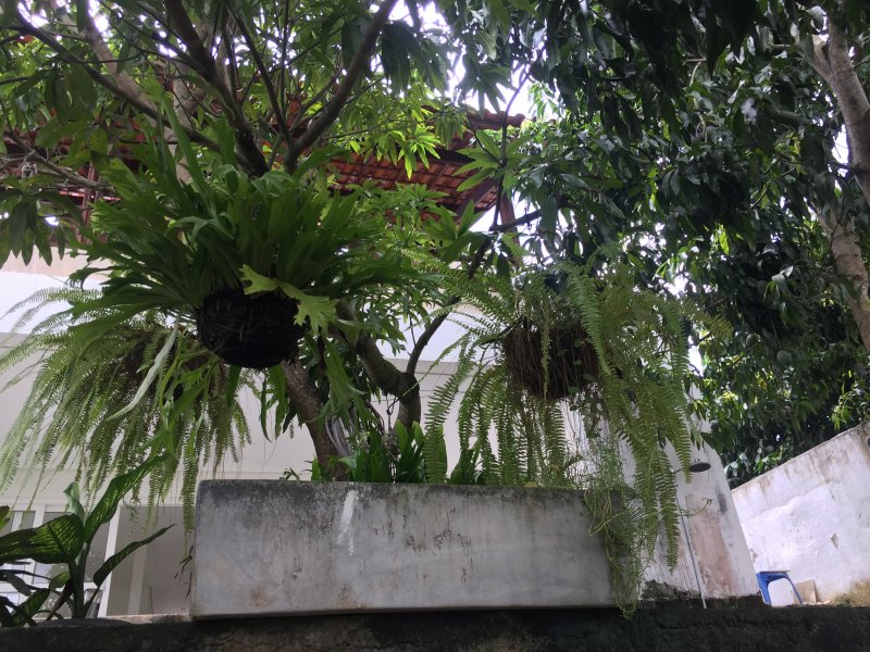 Casa à venda Serraria com 352m² e 4 quartos por R$ 600 - 485793717-f619a8c0-ec16-4175-84b1-51efe7583f3e.jpeg