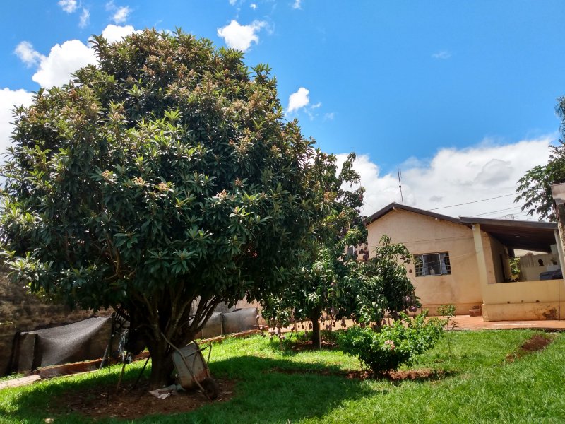 Casa à venda Jardim Paulista com 120m² e 2 quartos por R$ 320.000 - 276968426-img-20200102-125935233-hdr.jpg