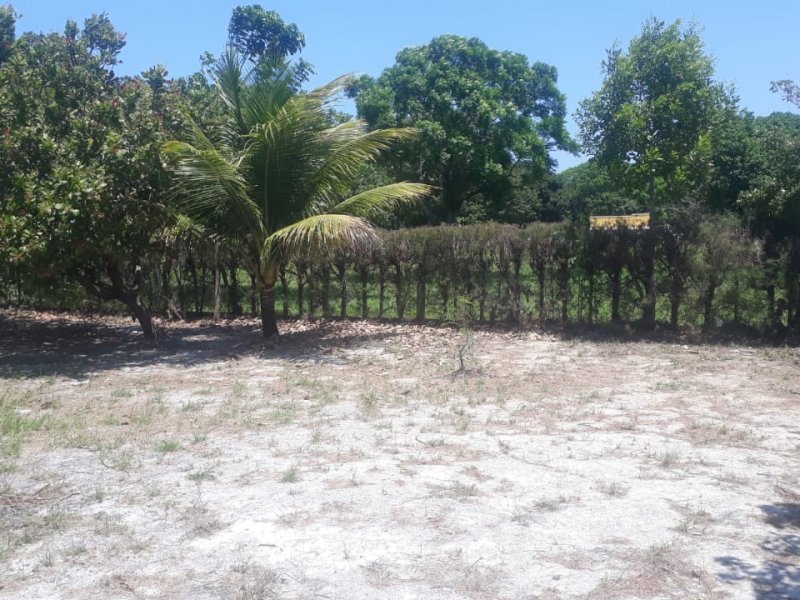 Casa de condomínio à venda Unamar com 1577m² e 4 quartos por R$ 300.000 - 1205892779-img-20200124-wa0069.jpg