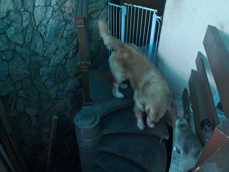 Casa à venda Horto Florestal com 200m² e 3 quartos por R$ 387.599 - 1148430477-54d30a58-b406-4588-a1d5-f0b2185b894f.jpeg