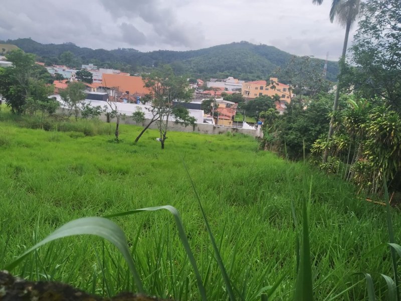 Terreno à venda Centro com 452m² e 1 quarto por R$ 338.000 - 1773002266-terreno-4.jpeg