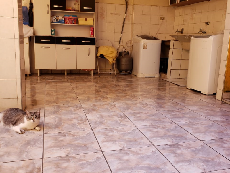 Casa à venda Vila Carmosina com 150m² e 3 quartos por R$ 400.000 - 285664360-quintal.png