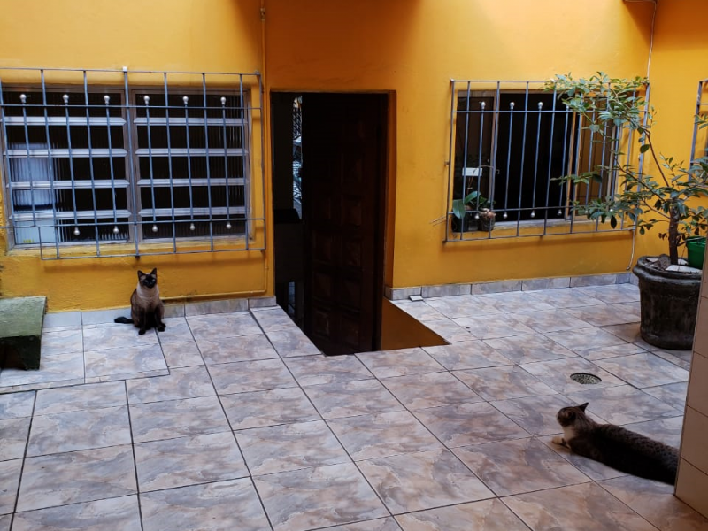 Casa à venda Vila Carmosina com 150m² e 3 quartos por R$ 400.000 - 649293569-quintal01.png