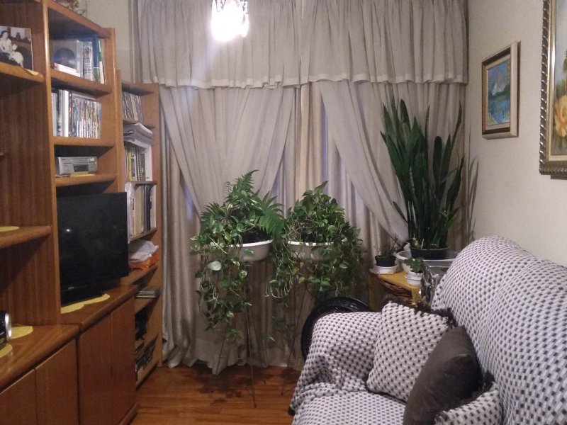 Apartamento à venda Brás com 50m² e 2 quartos por R$ 285.000 - 1543942682-img-20190919-055349081-1.jpg