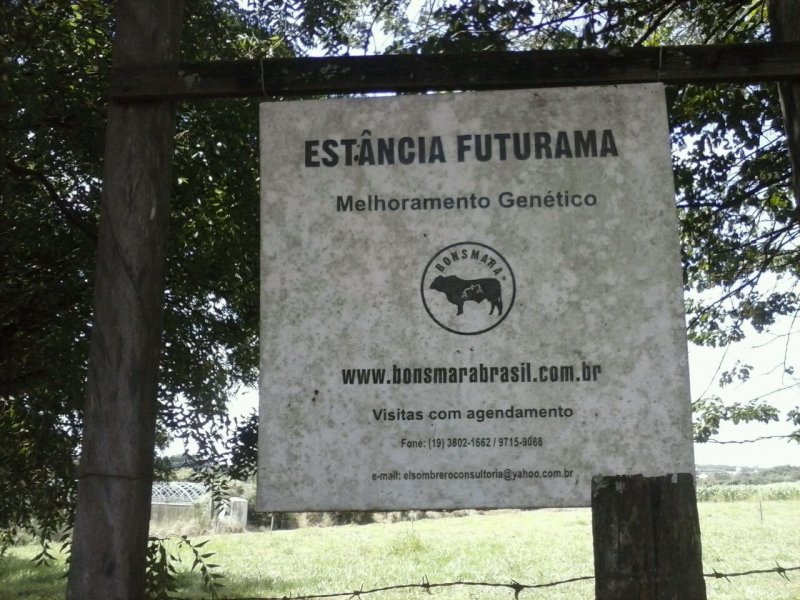 Sítio à venda Centro com 104200m² e 1 quarto por R$ 280 - 1064069298-willy-cel-olg-179.jpg