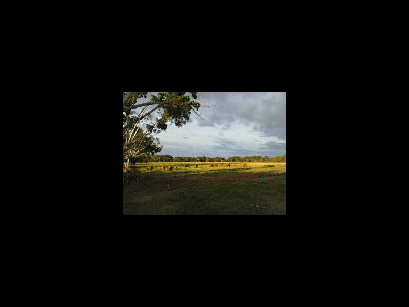 Sítio à venda Centro com 104200m² e 1 quarto por R$ 280 - 1437024283-willy-cel-olg-498.jpg